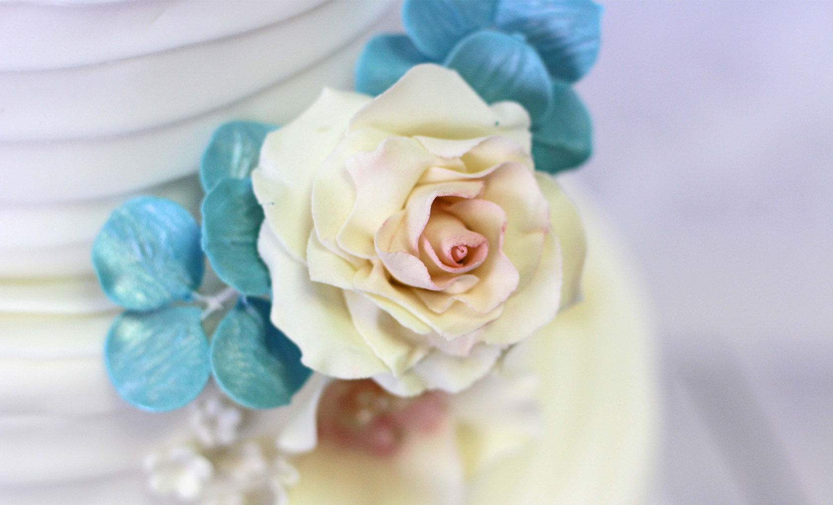 Bild von der Webseite von NancyCake – Cake & Sugardesign